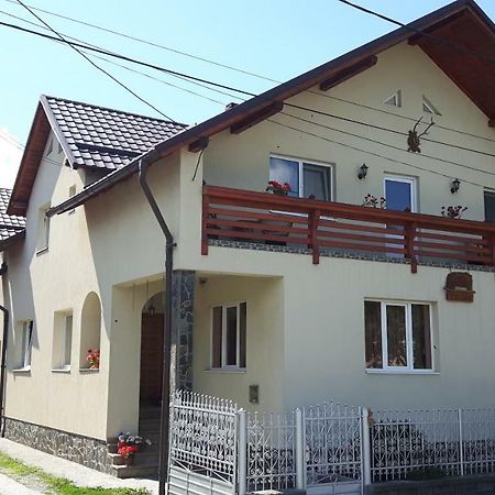 Pensiunea Casa Stet Toader Iulian Săpînţa Exterior foto