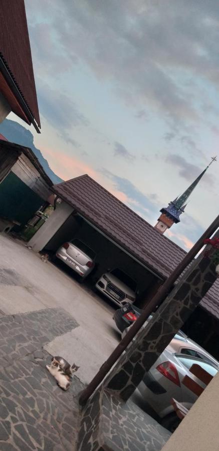Pensiunea Casa Stet Toader Iulian Săpînţa Exterior foto