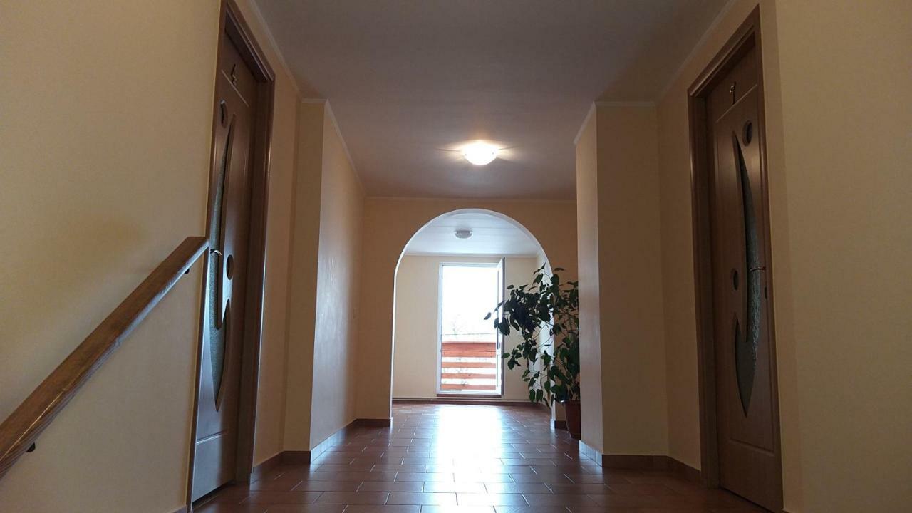 Pensiunea Casa Stet Toader Iulian Săpînţa Exterior foto